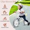 Metal 12 Inch Balance Bike with Adjustable Seat and Rotatable Handlebar